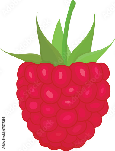 Raspberry berry in flat style. red ripe raspberry fruit, food fresh, sweet green, dessert ripe, individual leaves raspberry berry vector illustration on white transparent isolated background