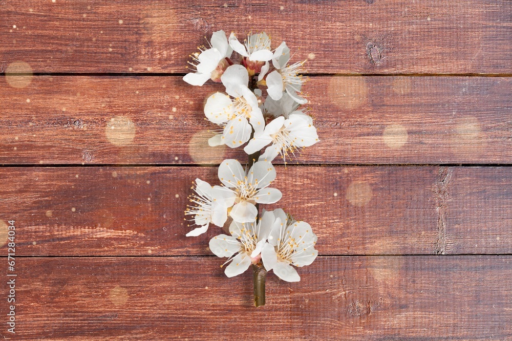 Pink fresh aroma cherry blossom on desk Pink fresh aroma cherry blossom on desk