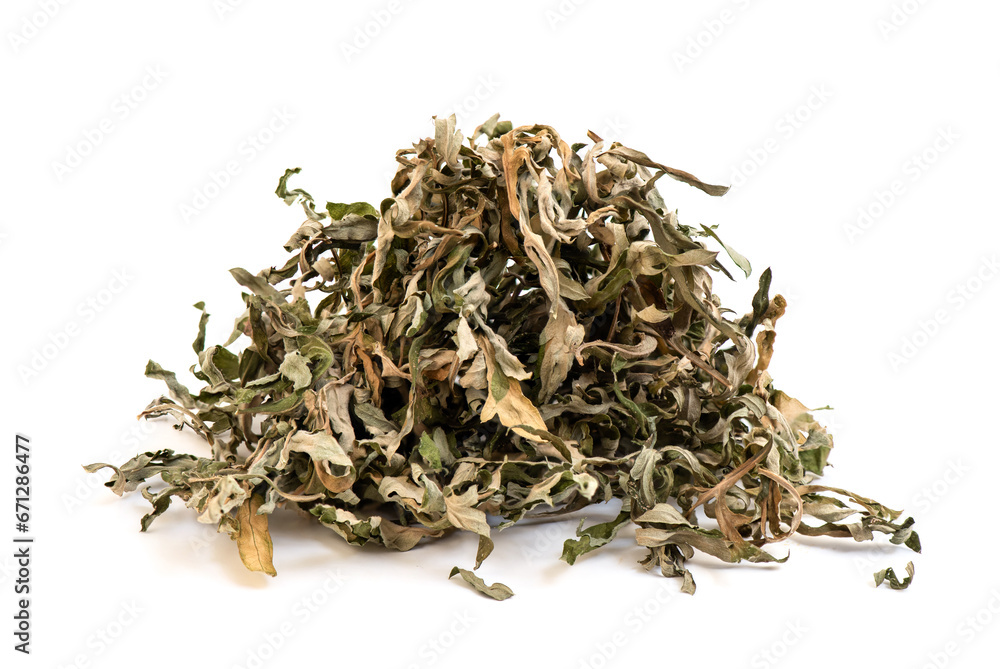 Dried mugwort leaves placed isolated on white background. Dried mugwort leaves placed isolated on white background.