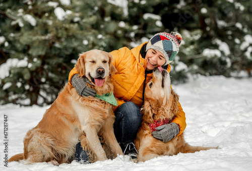 Canvas Print Golden retriever dogs in winter time with girl owner posing in snow