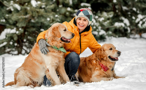 Photography Golden retriever dogs in winter time with girl owner posing in snow
