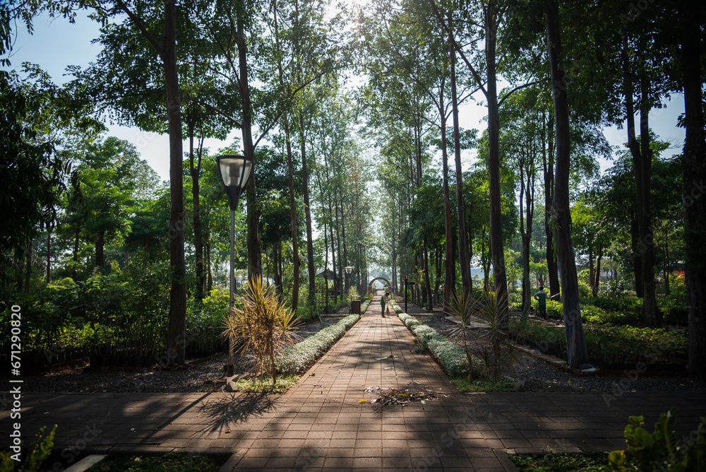 Green open spaces filled with trees and ornamental plants