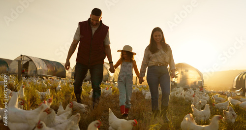Agriculture, holding hands and chicken with family on farm for sustainability, environment and livestock industry. Sunset, nature and love with parents and child in countryside field for animals photo