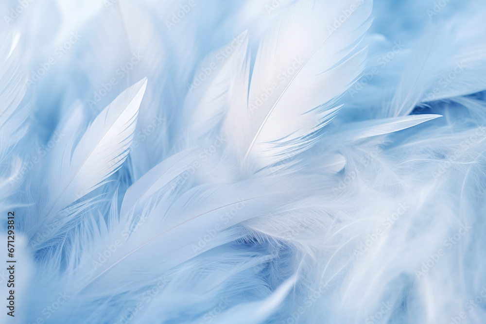 Background with blue feathers Background with blue feathers