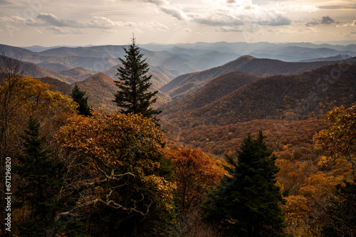 Brown and Orange Valley During Autumn in the Blue Ridge Mountains
