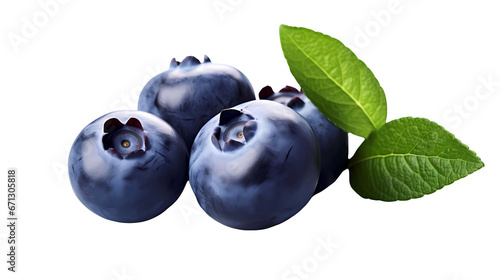 Blueberries on transparent background