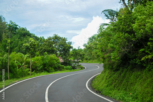 winding road in the middle of the forest
