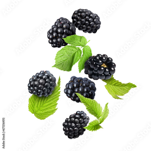 Many fresh blackberries and leaves falling on white background