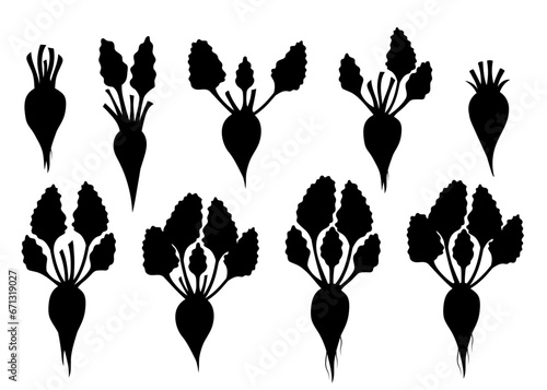 Silhouettes of root vegetables. Black and white roots isolated on white background.
