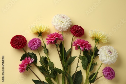 Beautiful dahlia flowers on pale yellow background, flat lay © New Africa