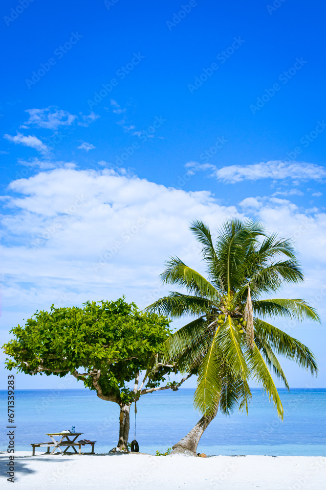Fototapeta premium Tropical white sand beach in a blue sky sunny day. Portrait. Aglicay, Romblon, Philippines