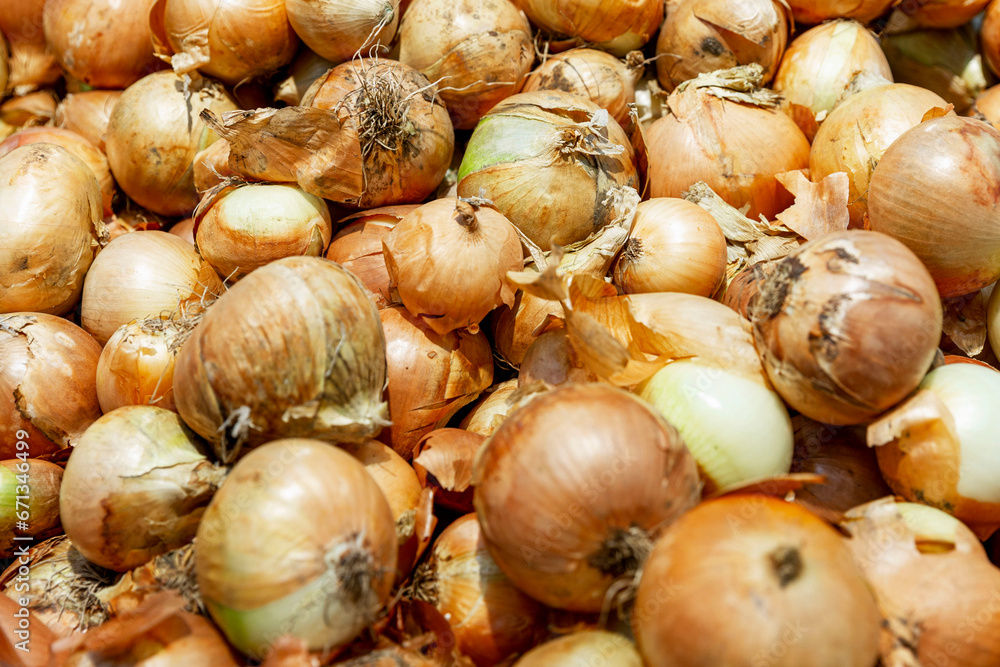 Lots of onions on the counter. Healthy eating, vitamins and vegetarianism. Close-up. Lots of onions on the counter. Healthy eating, vitamins and vegetarianism. Close-up.