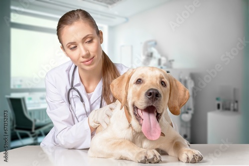 Vet doctor examining cute smart dog in clinic, AI generated image