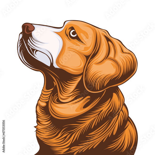 Beagle dog head vector illustration Isolated on white background