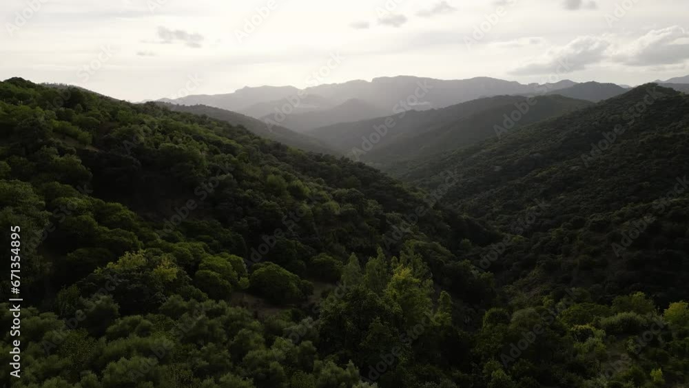 Cinematic mountain landscape with morning mist, aerial ascend view Cinematic mountain landscape with morning mist, aerial ascend view