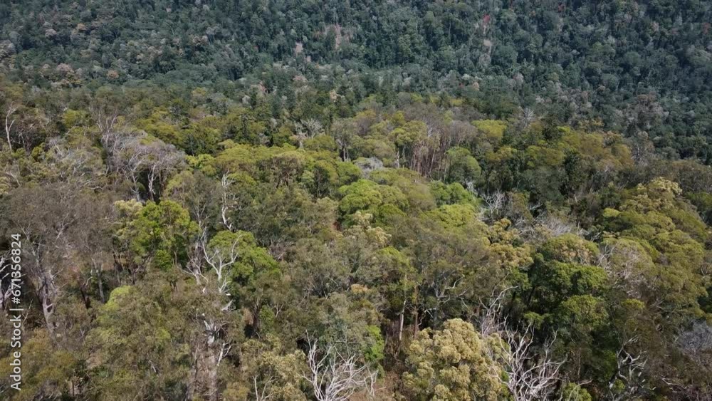 Drone aerial moving up showing Australian native trees and mountains Drone aerial moving up showing Australian native trees and mountains
