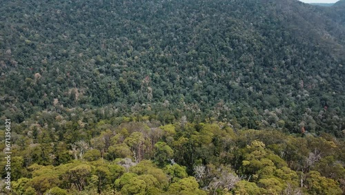 Drone aerial pan right showing Australian native trees and mountains photo