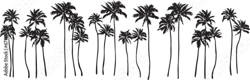 Black palm tree set vector illustration on white background silhouette art black white stock illustration png photo