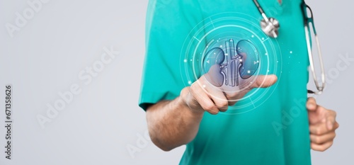 Doctor holding human kidney organ, Health checkup