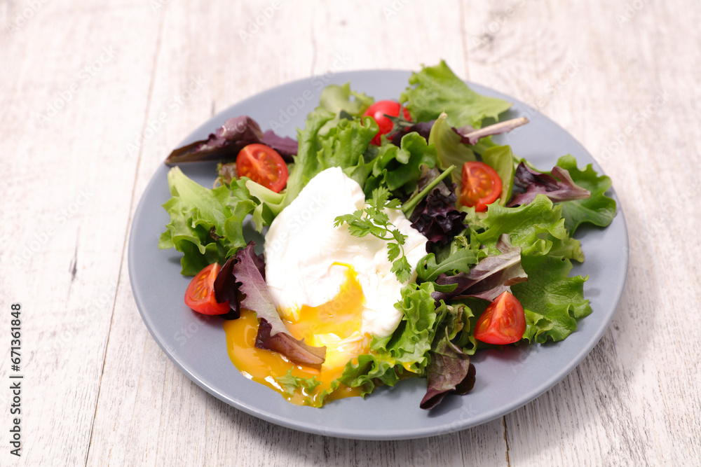 plate of lettuce salad and poached egg plate of lettuce salad and poached egg