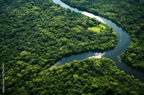 Serene Aerial View of Mossy Glen, a Lush Forested Valley with a Meandering River and Sunlight Peeking Through the Canopy