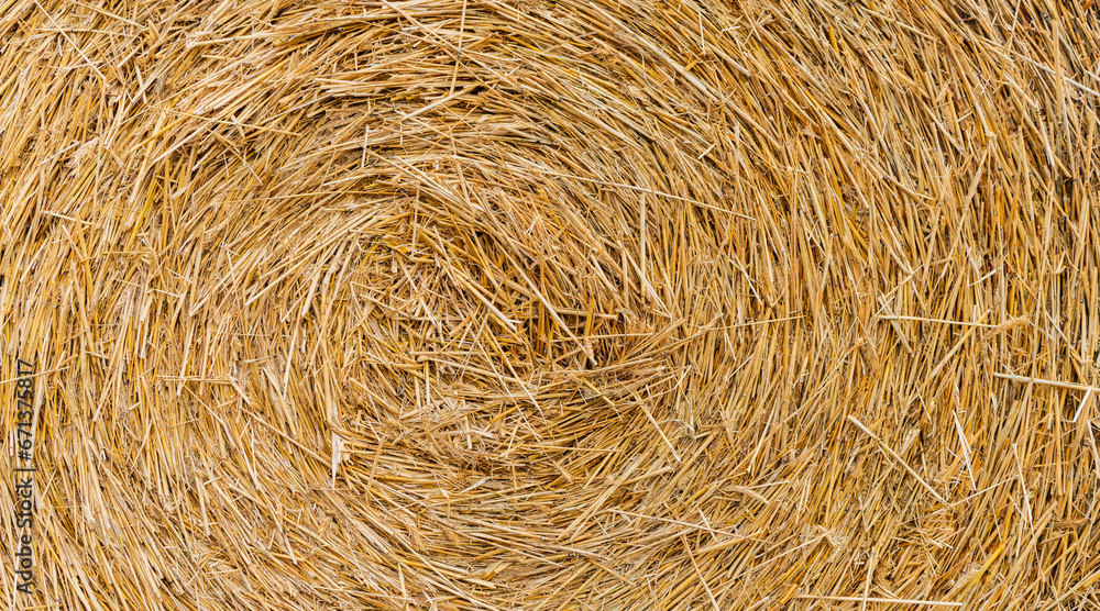 Hay bale is stacked in large stack. rural autumn with hay. straw summer background. haystack straw prepared for farm. Stack dry hay. Hay texture. Haystack storage Hay bale is stacked in large stack. rural autumn with hay. straw summer background. haystack straw prepared for farm. Stack dry hay. Hay texture. Haystack storage
