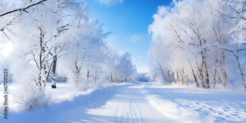 Tranquil winter forest snow covered tree , "Serene Snowy Forest Landscape" © muhammad