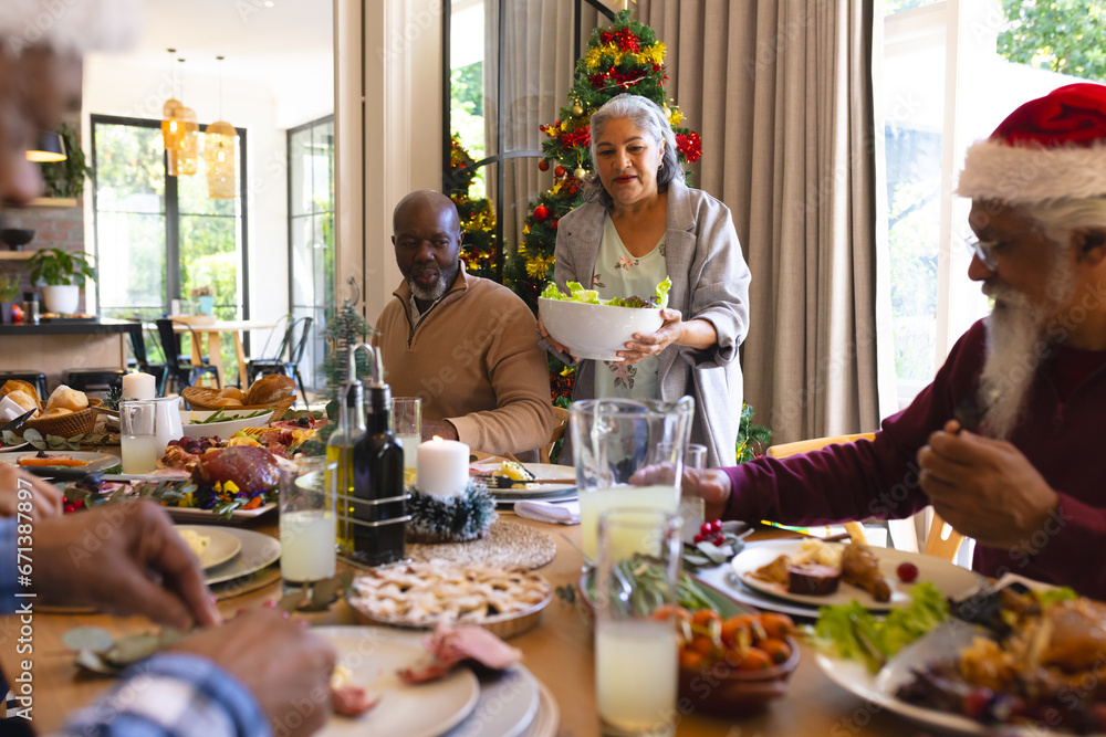 Happy diverse group of senior friends celebrating at christmas dinner in sunny dining room Happy diverse group of senior friends celebrating at christmas dinner in sunny dining room