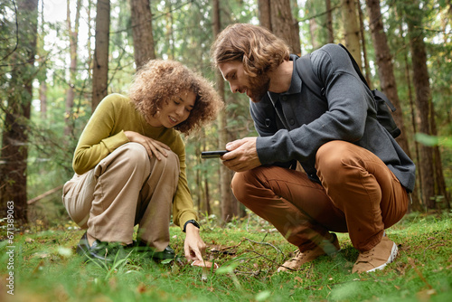 Young couple finding mushrooms in the forest and searching its name on the smartphone