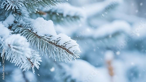 Winter Christmas natural background. Beautiful spruce branches covered with snow caps in the forest