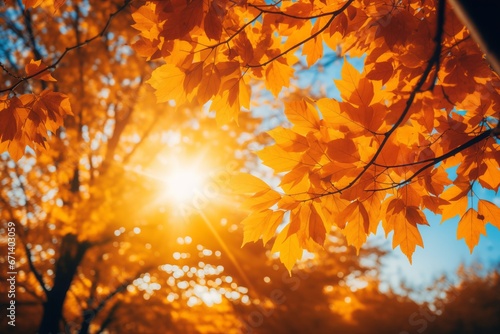 Autumn leaves background with sun rays and bokeh effect