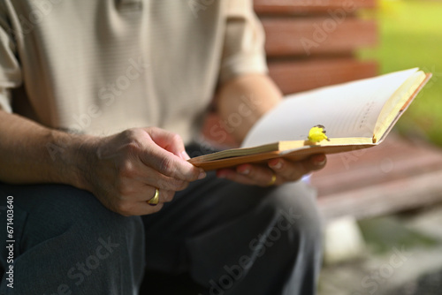 Cropped shot of peaceful middle aged man reading book in public park. Retirement lifestyle concept