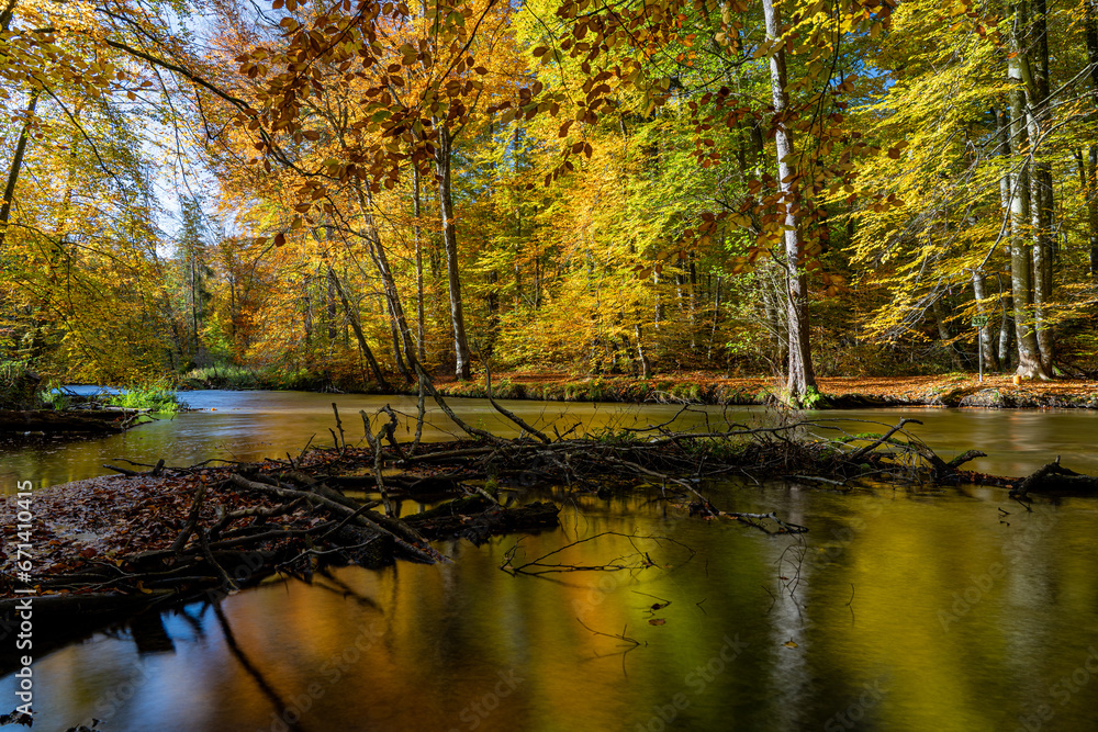 Fototapeta premium Herbststimmung an der Würm zwischen Mühltal und Gauting
