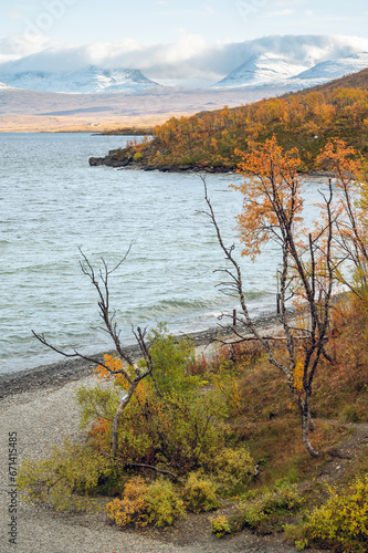 Autumnal Scenery at the Shores of Lake Torneträsk in the Swedish Lapland photo