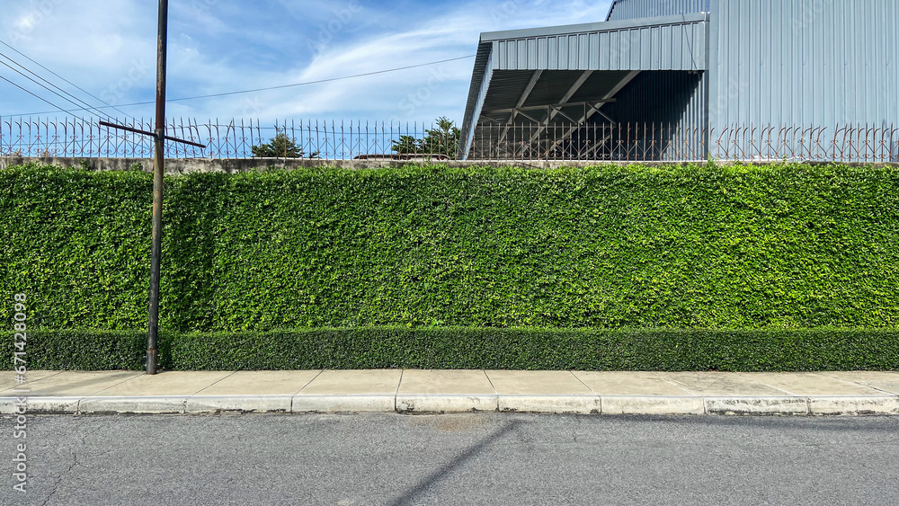 Green wall building in the city. Green wall building in the city.