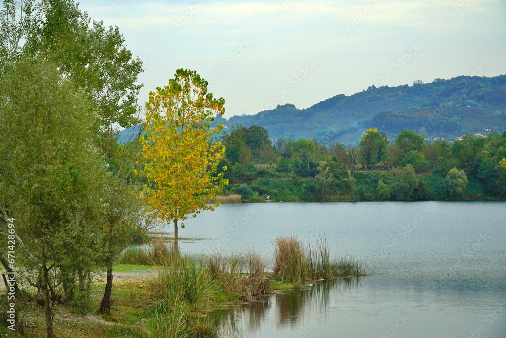 Fototapeta premium View of trees reflections on lake in Mollaköy, Sakarya, Turkey.