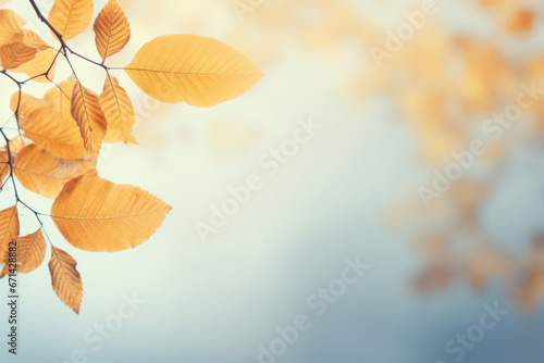 Autumn abstract background  with orange leaves on branches