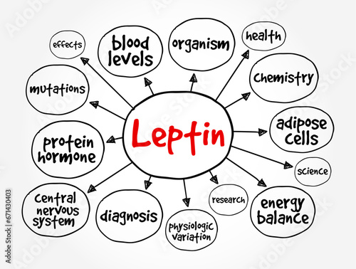 Leptin is a hormone made by adipose cells and its primary role is to regulate long-term energy balance, mind map concept background