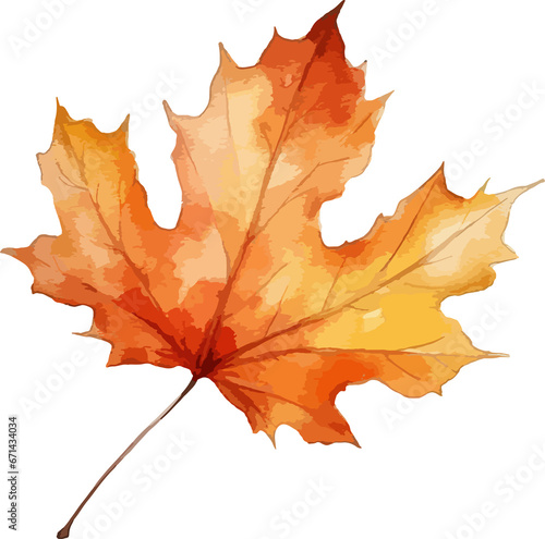 Watercolor autumn leaf clipart isolated on background