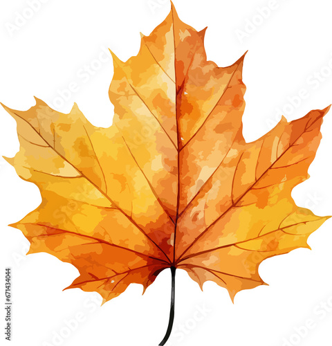 Watercolor autumn leaf clipart isolated on background