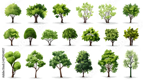 set of different types of trees on white background