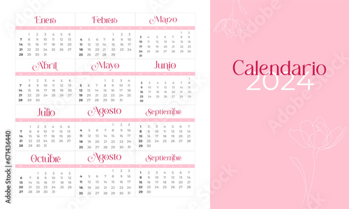 Calendario 2024, femenino, rosa, minimalista, meses en español