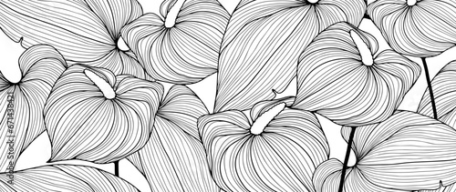 Stampa su tela Black and white floral background with calla flowers and leaves