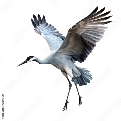 crane bird shot, isolated on transparent background cutout © Pixel Town