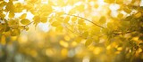 Nature s verdant canopy casts a shade enveloping a yellow background adorned with mesmerizing bokeh