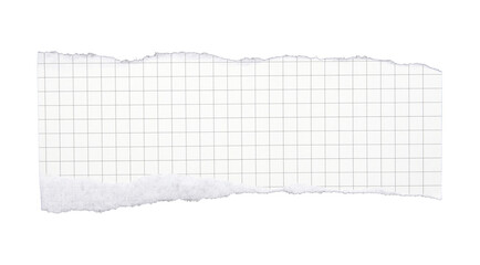 Torn striped paper sheet on transparent background png file
