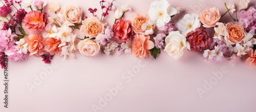 Studio photography captures the beauty of fresh flowers in the backdrop