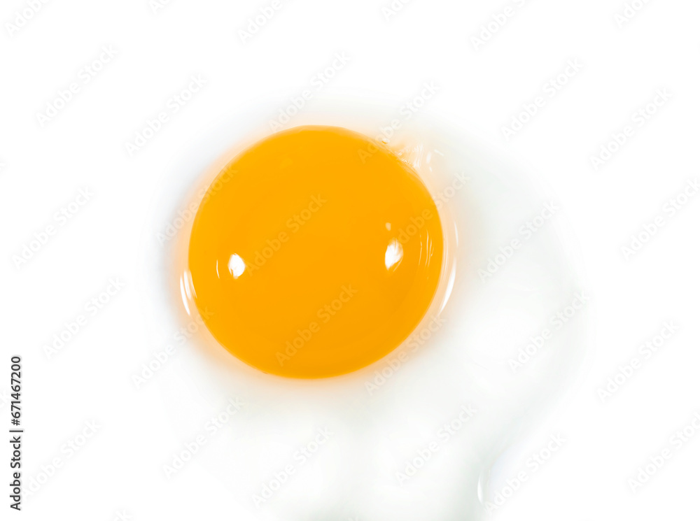 egg yolk isolated on white background,top view egg yolk isolated on white background,top view