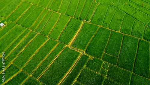 A View Of A Green Field