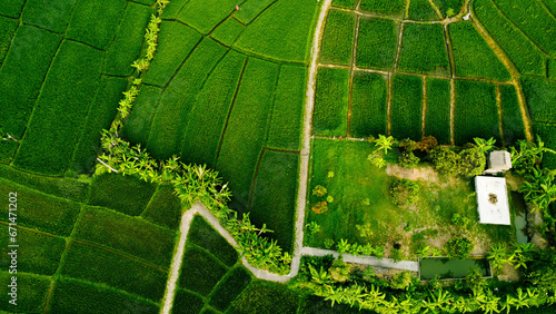 a view of a green Field With A Road Running Through It